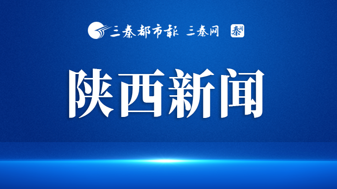 彬州市税务局荣获两项表彰