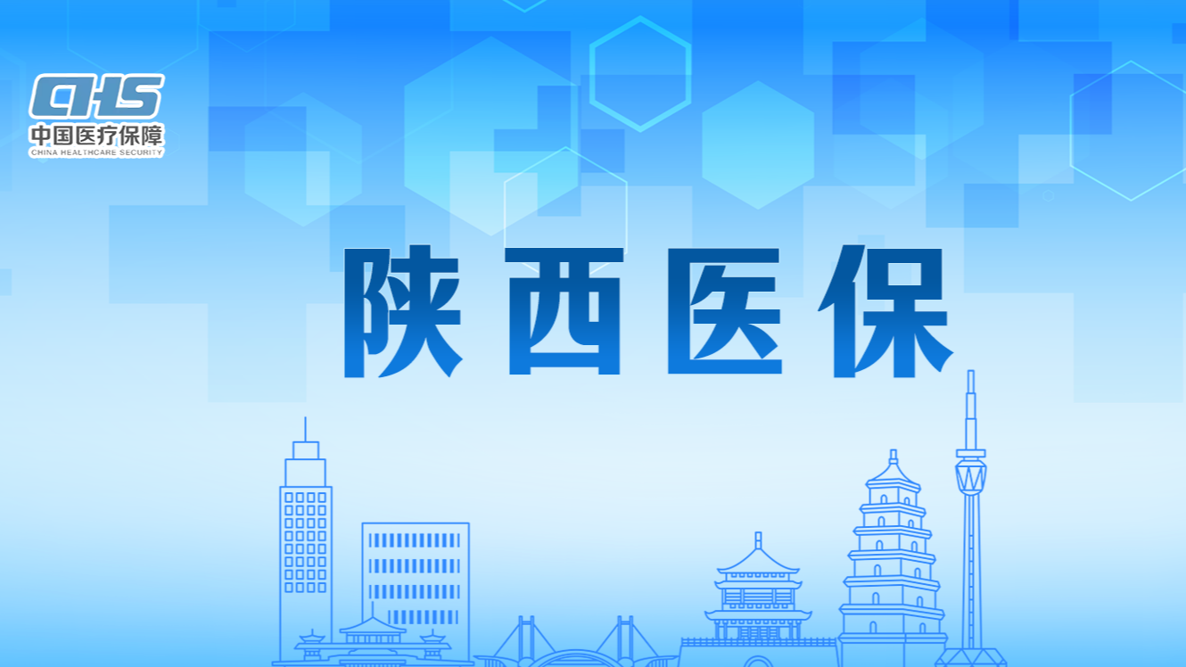 专题|陕西医保