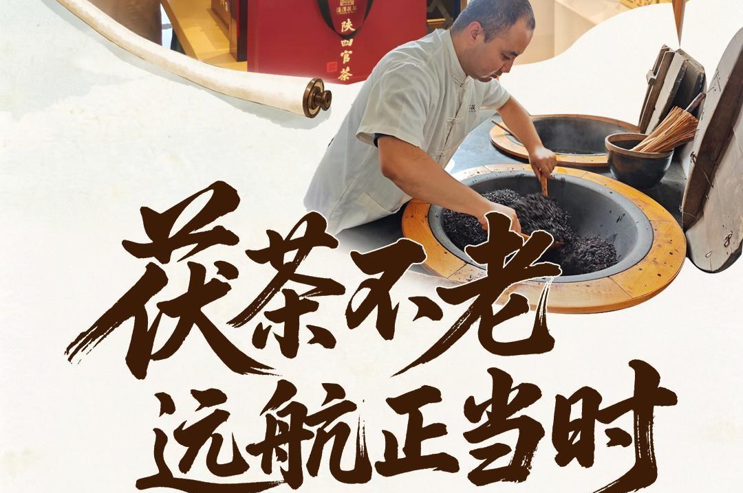 陕西日报社“城市高质量发展咸阳行”全媒体行动调研采访活动?茯茶不老 远航正当时