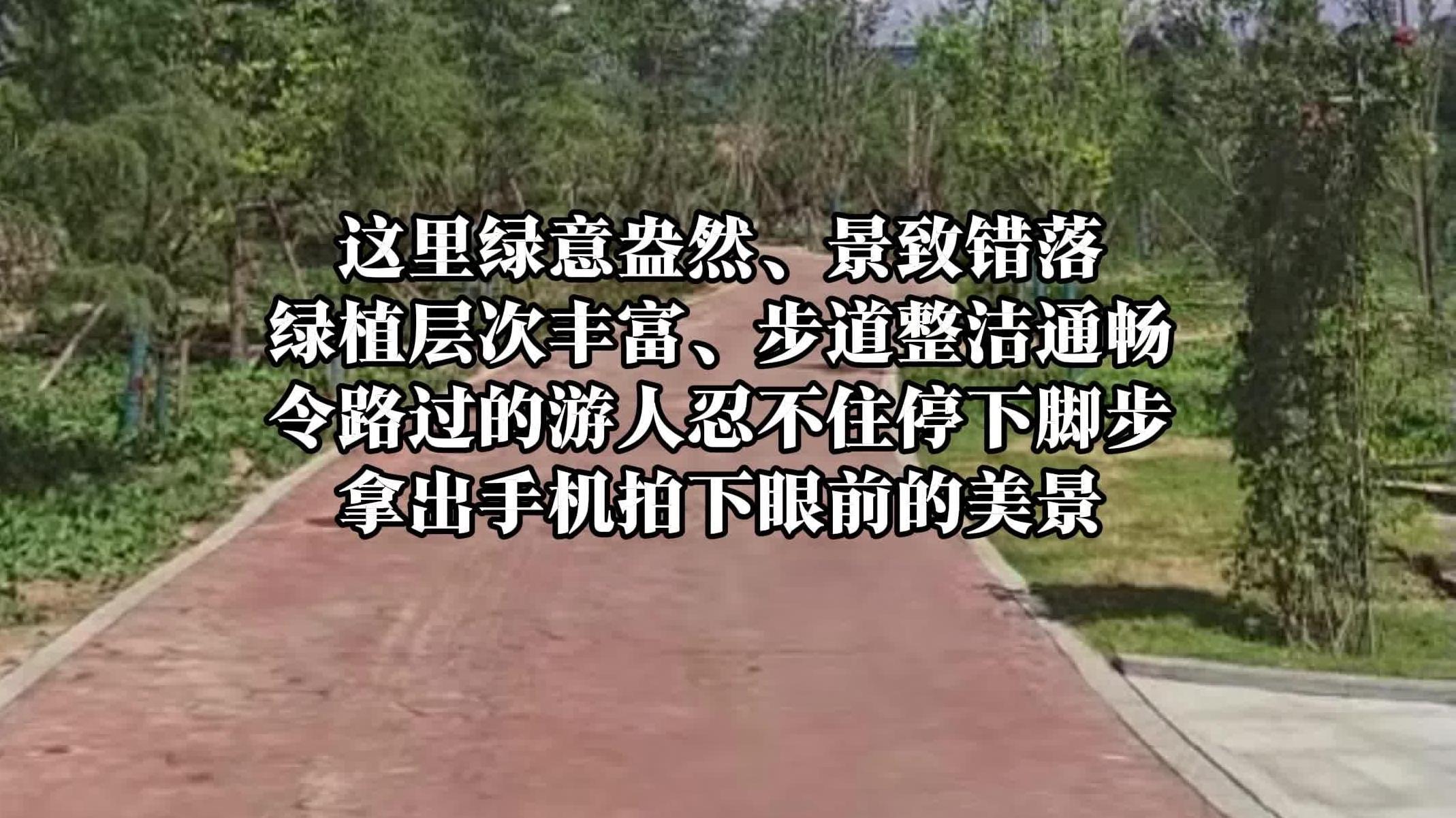 走进这处绿岛公园 探访生态治理 绘出绿意画卷｜陕西日报社“相约渭南 精彩省运”全媒体行动调研采访活动