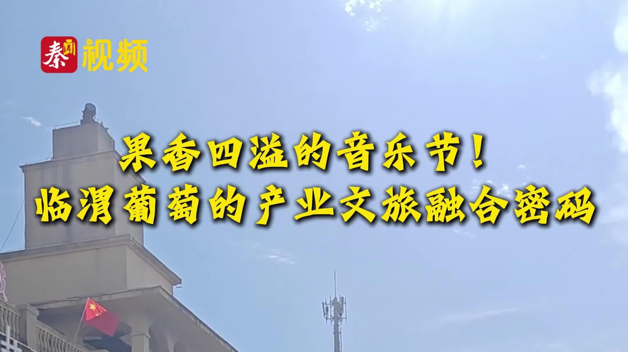 果香四溢的音乐节！临渭葡萄的产业文旅融合密码｜陕西日报社“相约渭南 精彩省运”全媒体行动调研采访活动