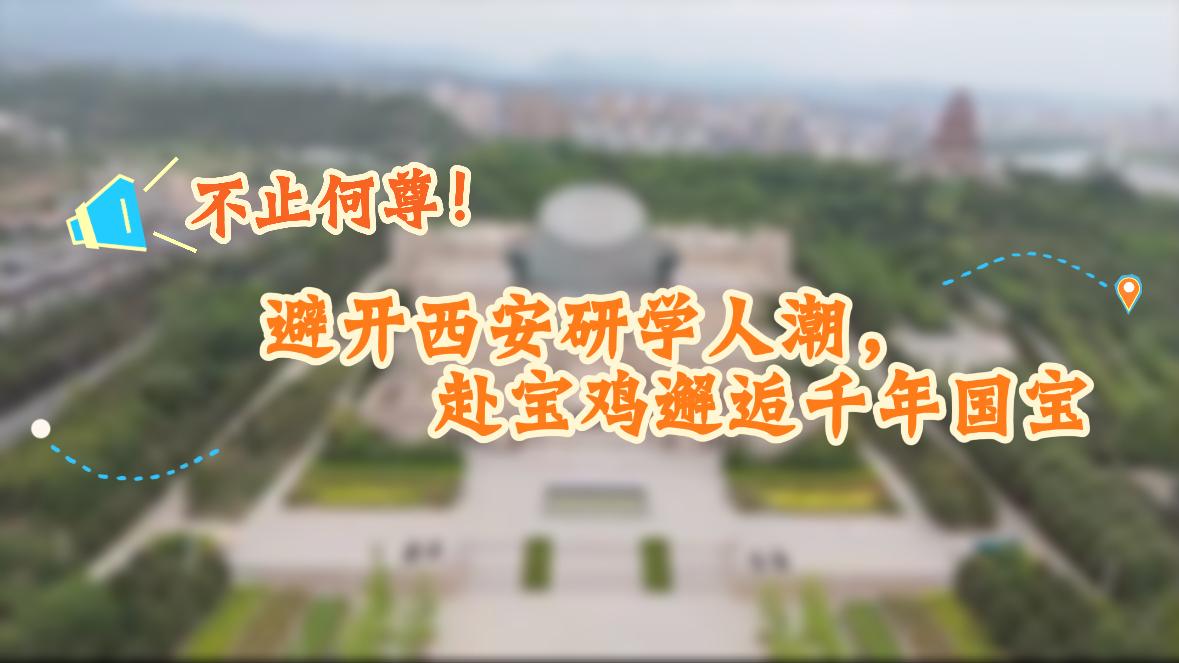不止何尊！避开西安研学人潮，赴宝鸡邂逅千年国宝
