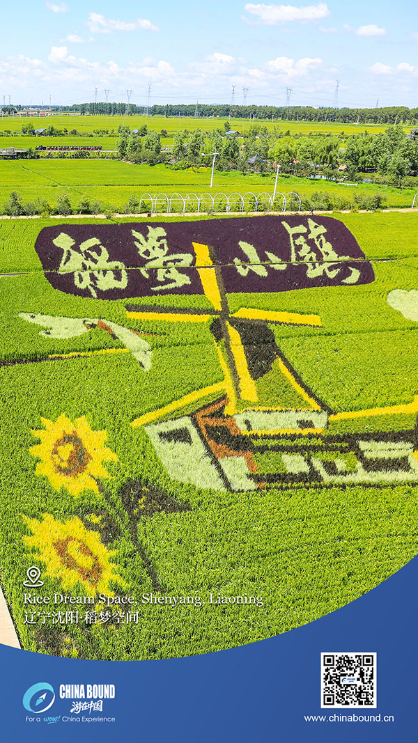 Rice Dream Space, Shenyang, Liaoning