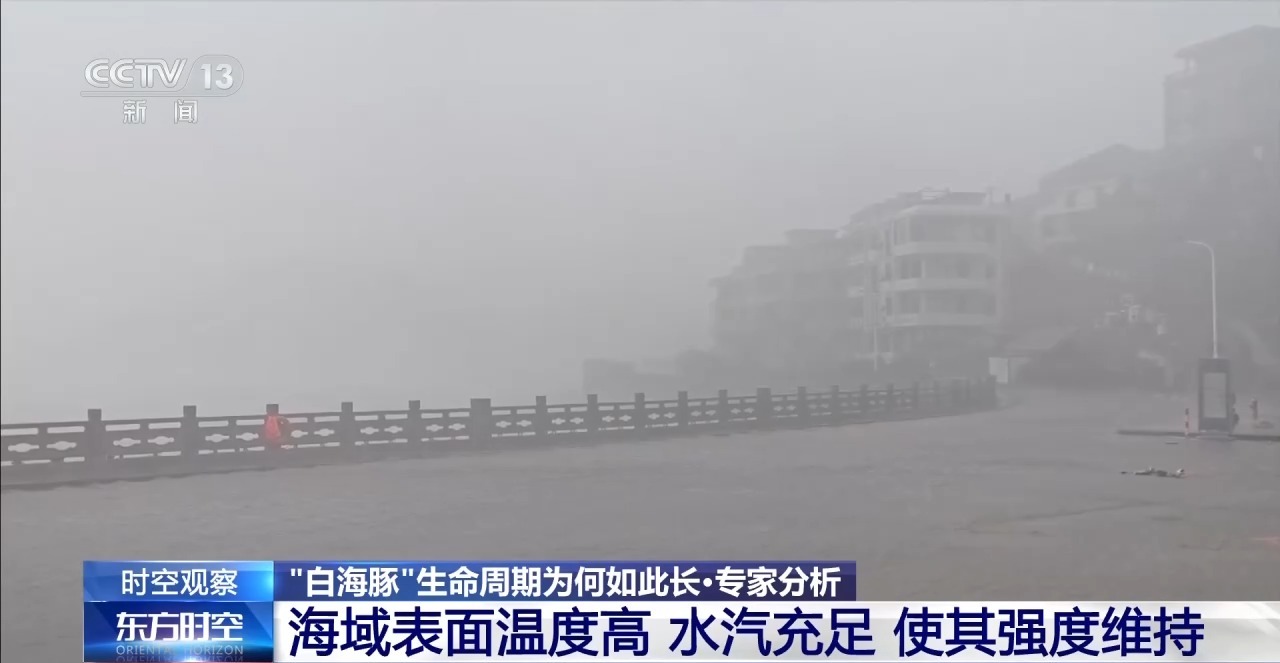 视频丨“生命力”超强的“白海豚”余威不减 如何防范？