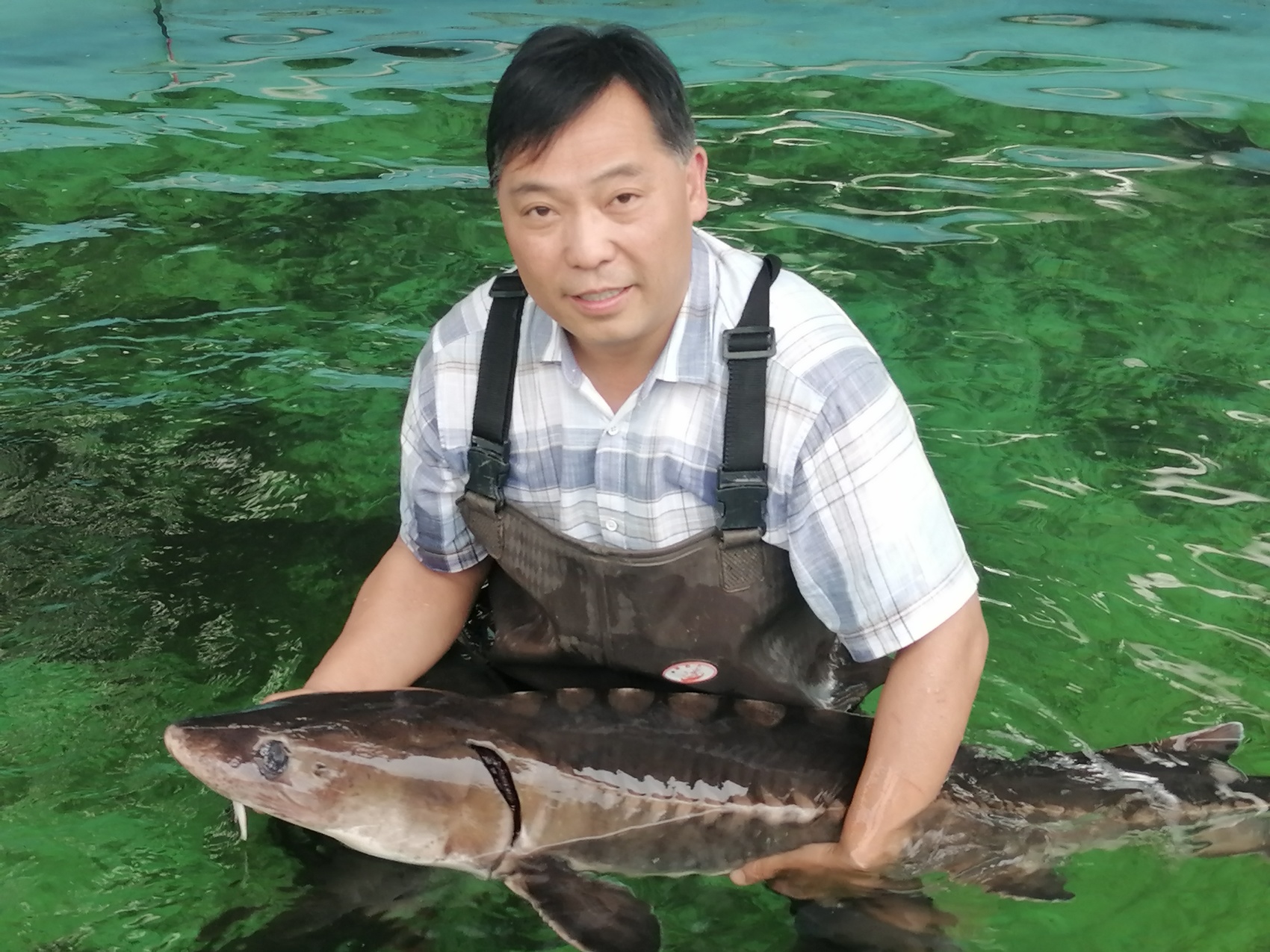 天蓝水清林绿，珍稀动物回家了丨长江十年行