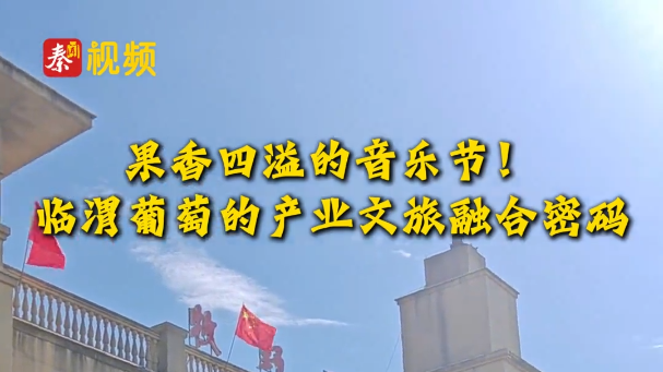 果香四溢的音乐节！临渭葡萄的产业文旅融合密码｜陕西日报社“相约渭南 精彩省运”全媒体行动调研采访活动