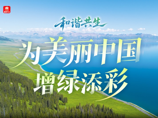 和谐共生｜为美丽中国增绿添彩
