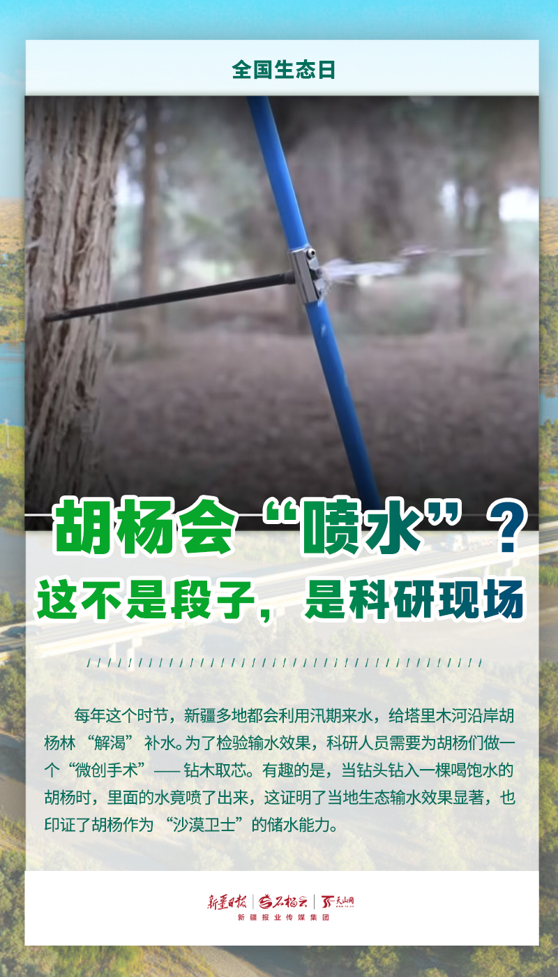 全国生态日丨当鸟兽草木频频“出圈”，看见新疆的生态底气