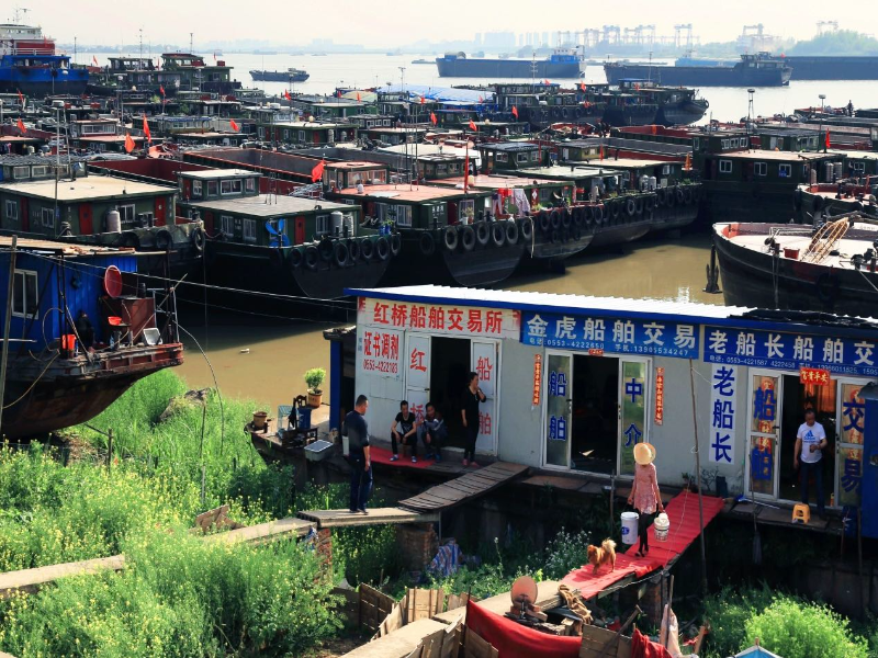 长江十年行|“工业岸线”变身“生态画廊” 十里江湾见证长江芜湖段绿色重生