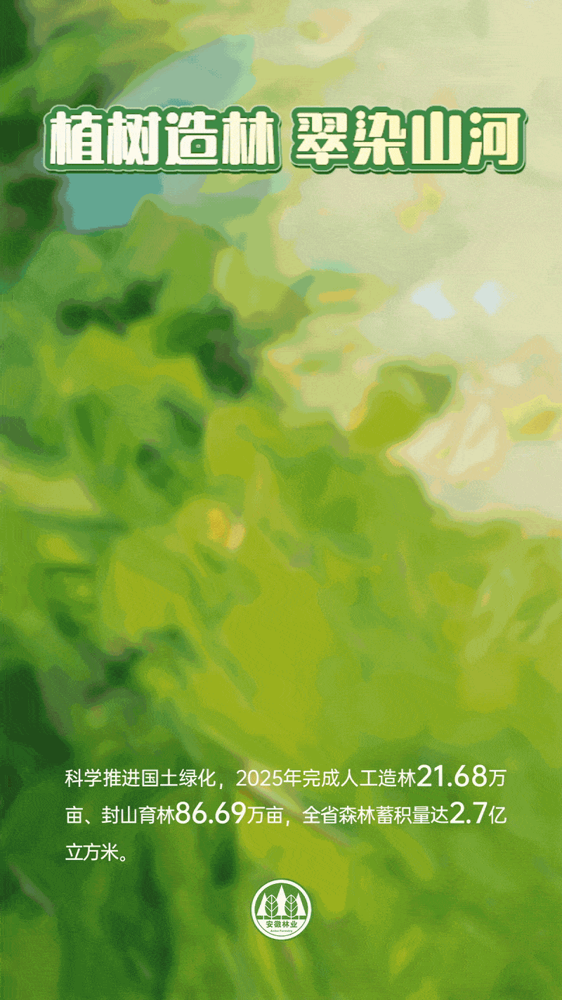和谐共生｜全国生态日：绘就绿水青山，共览绿满江淮生态画卷