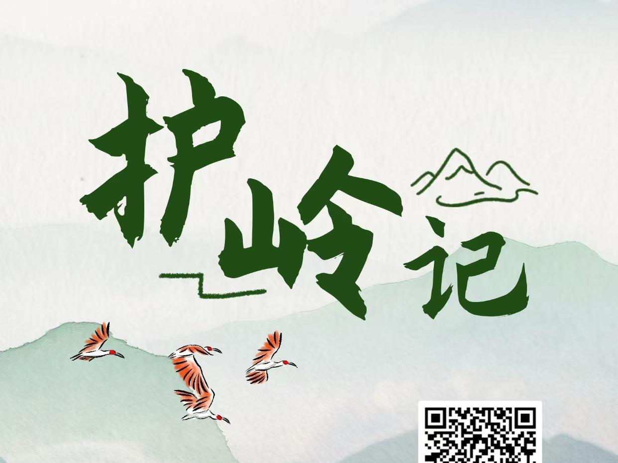 创意互动 | 护岭记