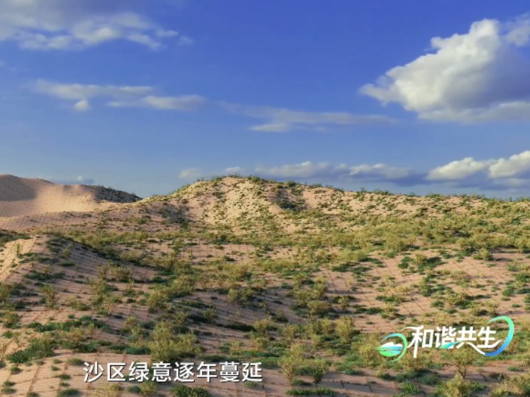 和谐共生 | 绿色兴业内蒙古 千里草原绘新章