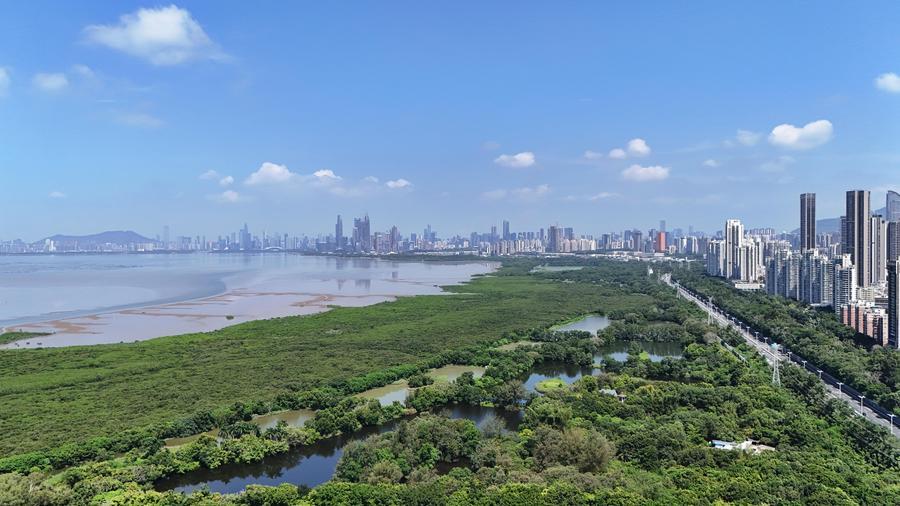 Xinhua Headlines: How flutters of great little birds weave together Asia-Pacific community