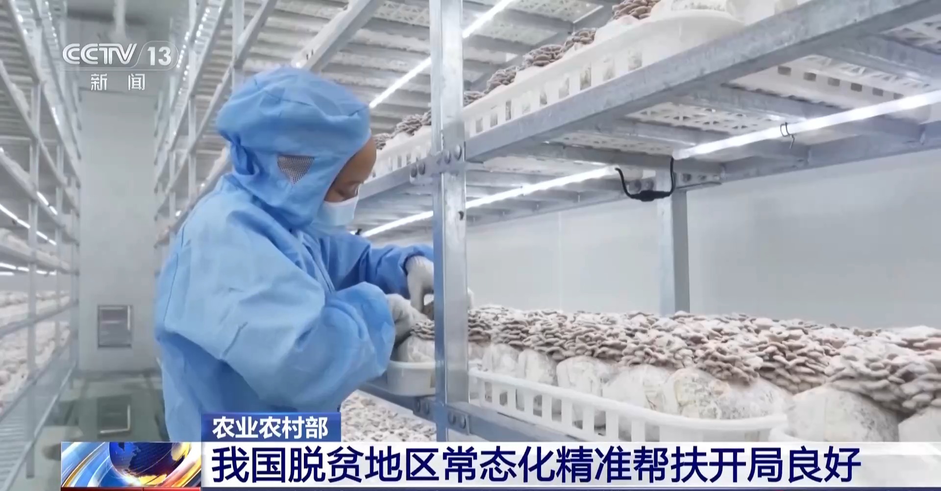 视频丨我国脱贫地区常态化精准帮扶开局良好