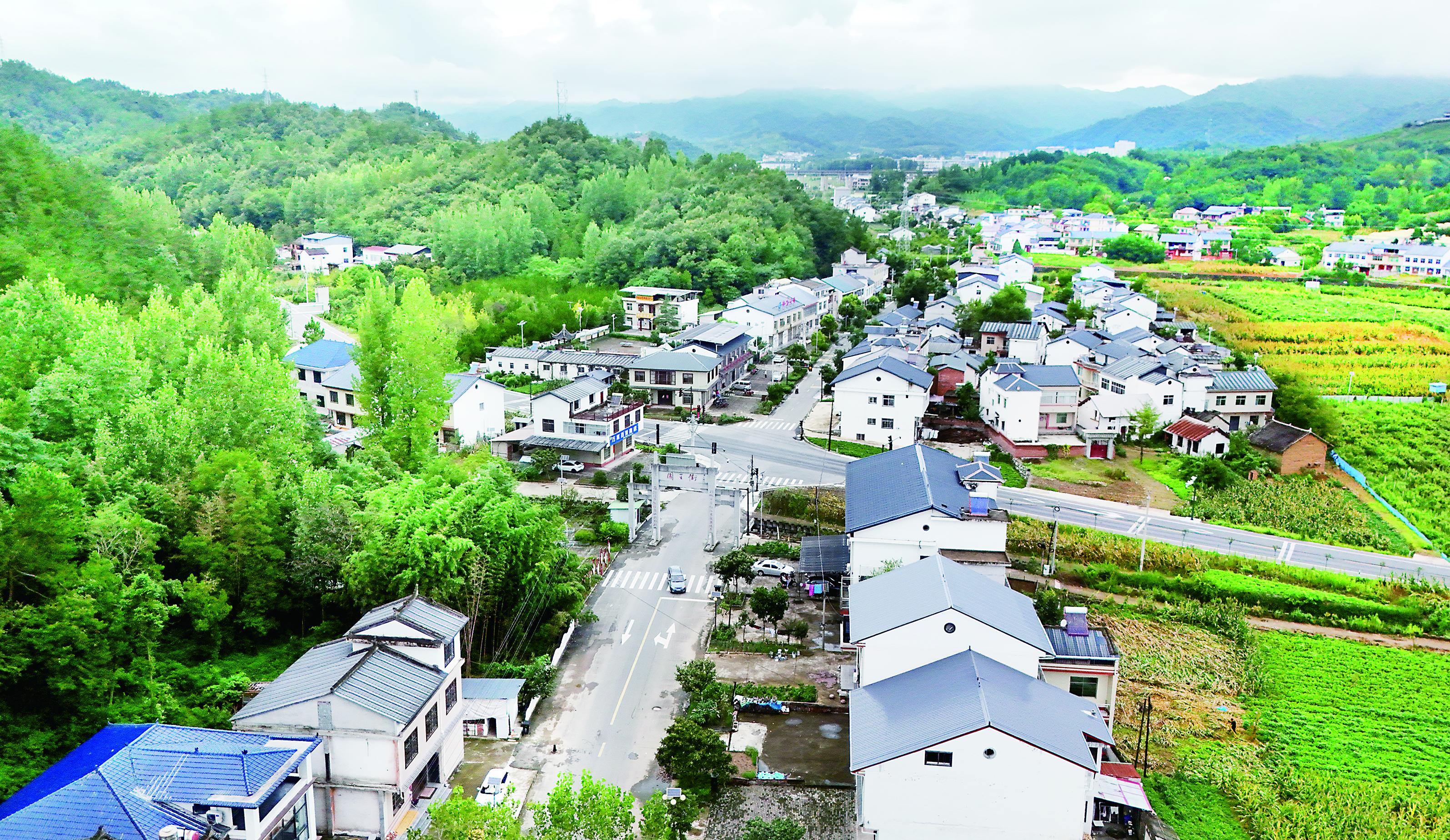 秦岭深处有个“小安庆”