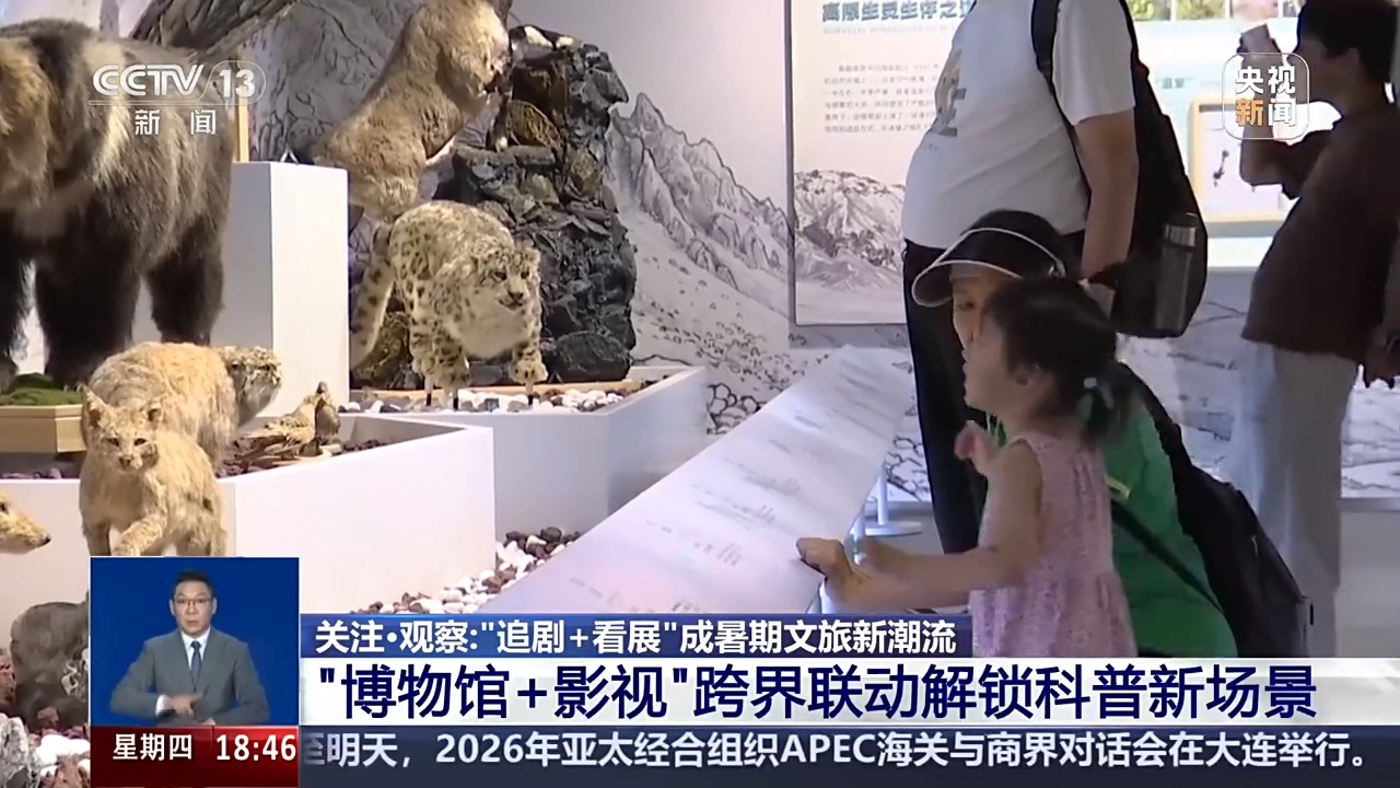 视频丨“追剧+看展”成暑期文旅新潮流 跨界联动解锁科普新场景