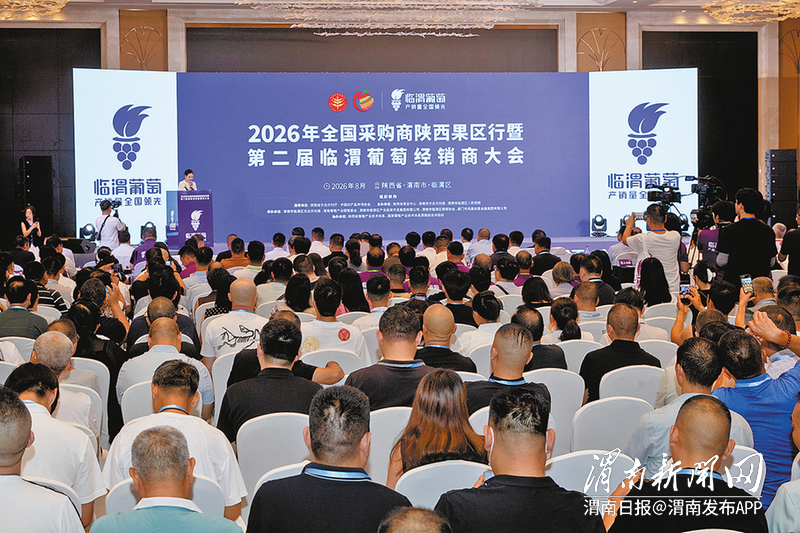一串葡萄的“接力赛”——2026年全国采购商陕西果区行暨第二届临渭葡萄经销商大会见闻