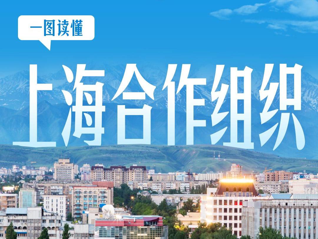 习言道｜一图了解上海合作组织