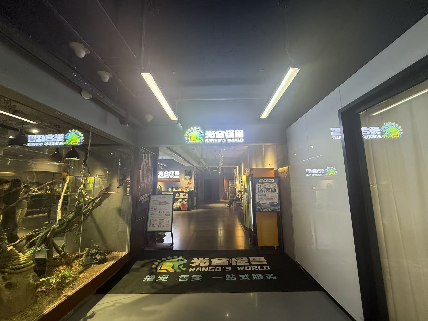 配图1