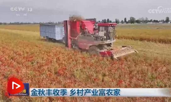 金秋丰收季 乡村产业富农家