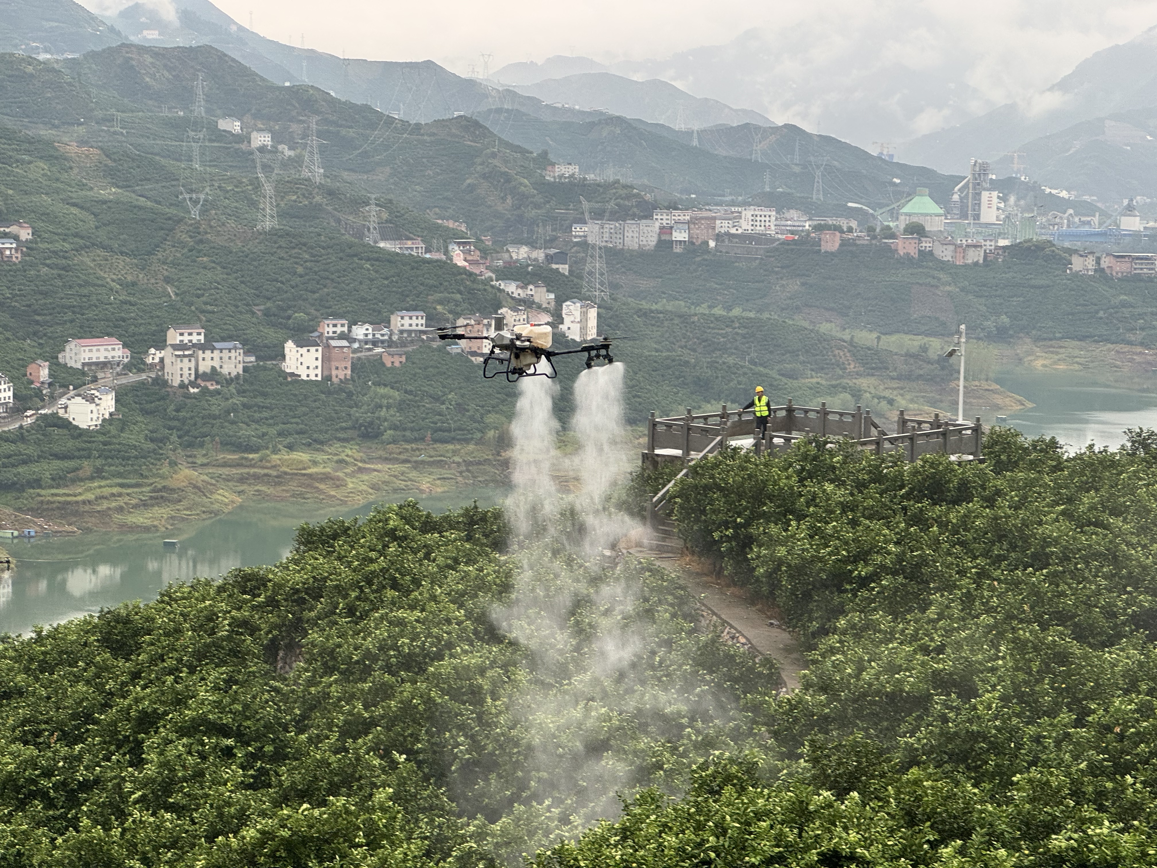 活力中国调研行 | 秭归：无人机飞进脐橙园，山地农业有了数字大脑