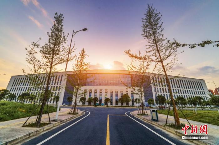 这个校徽藏着恐龙的大学，太宝藏了！