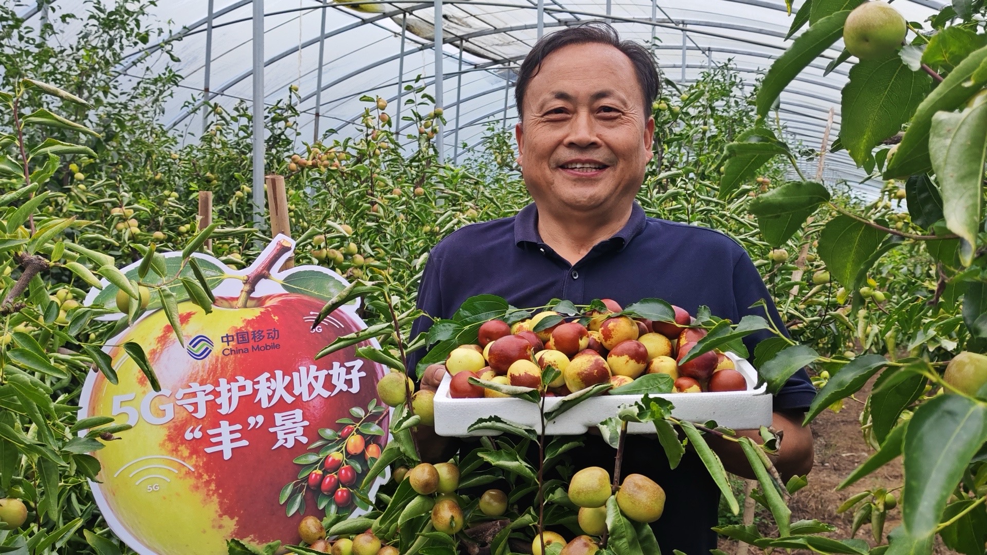 藏在服务里的“圆满”：数智赋能双节 商洛移动丹凤分公司护航丰收与团圆