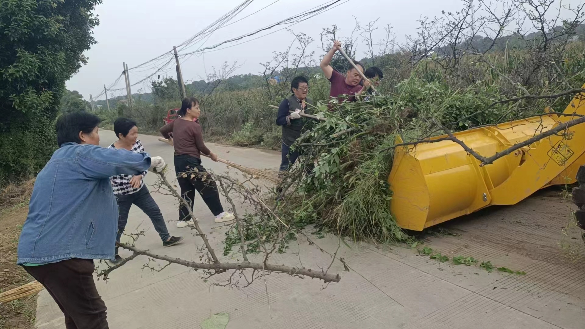 西安市临潼区零口街道孟塬村凝心聚力整治环境修缮道路