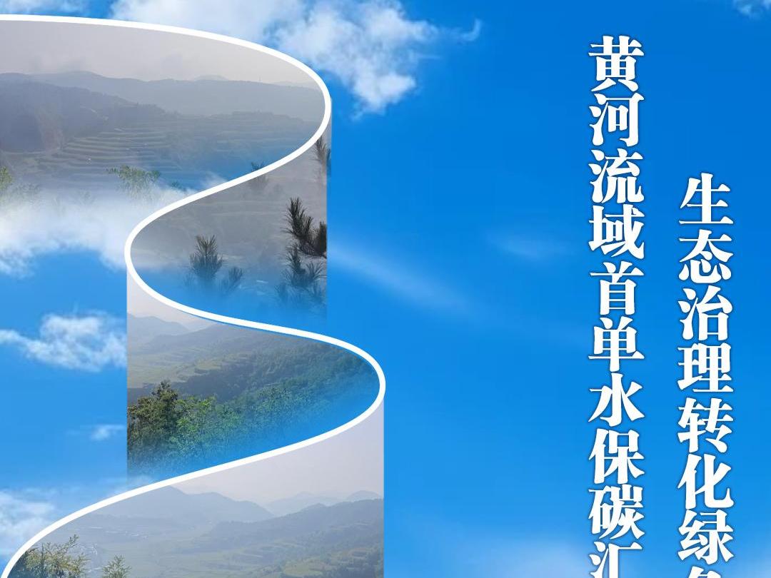 陕西日报社“城市高质量发展延安行”全媒体调研采访活动③丨黄河流域首单水保碳汇交易落地延安宝塔 生态治理转化绿色财富
