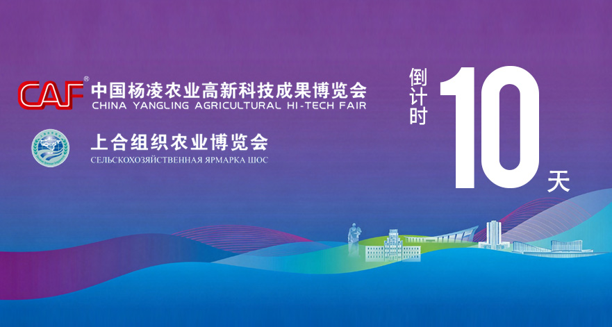 第33届杨凌农高会2026上合农博会距开幕还有10天