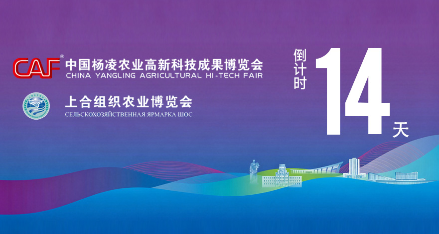 第33届杨凌农高会距开幕还有14天