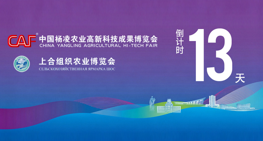 第33届杨凌农高会距开幕还有13天